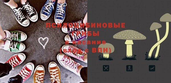 твердый Армянск