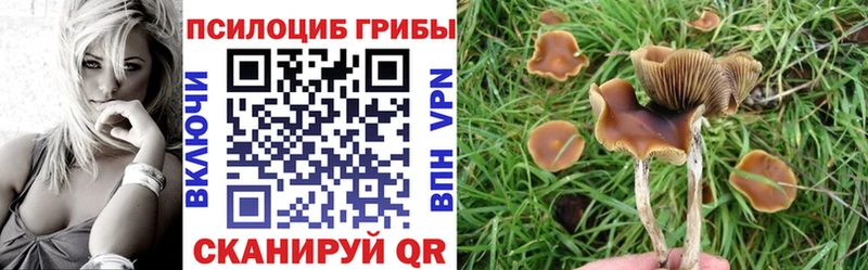 Псилоцибиновые грибы ЛСД  Бодайбо 